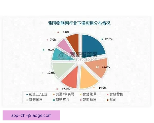 恩佐荣膺世界杯最佳年轻球员殊荣展现出色实力成为足球新星闪耀舞台